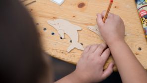 Impressionen aus der Smailly-Praxis 