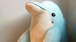 Impressionen aus der Smailly-Praxis 